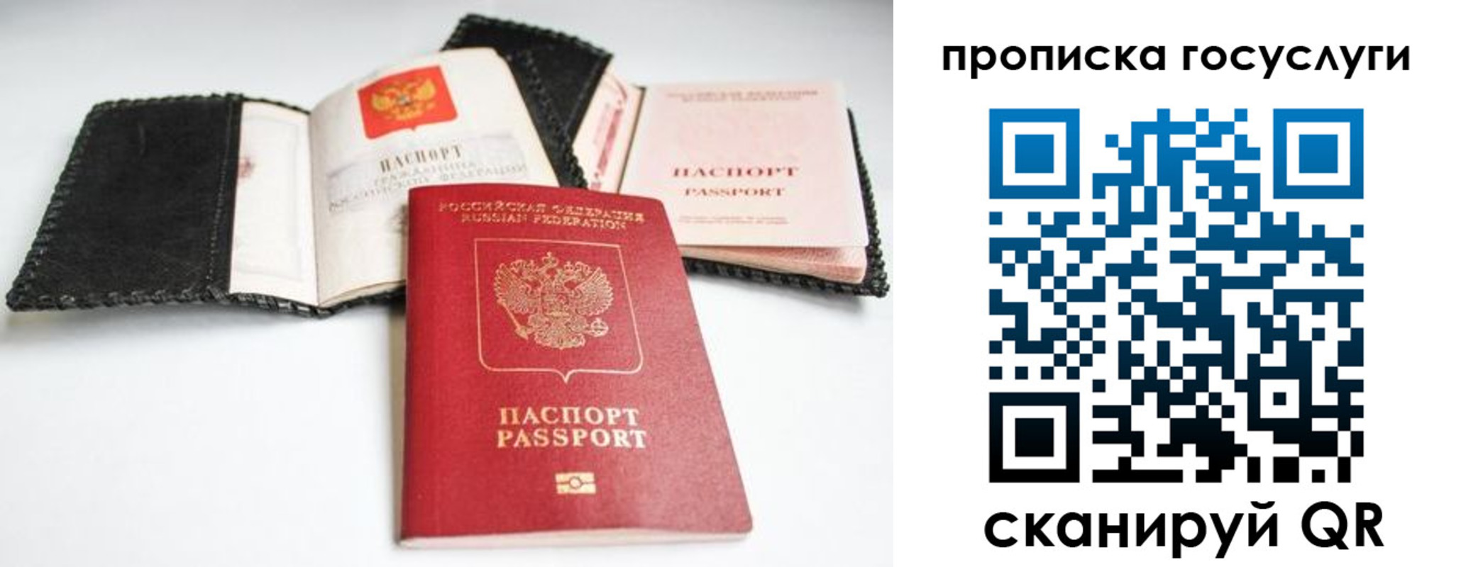 прописка от собственника в Химках